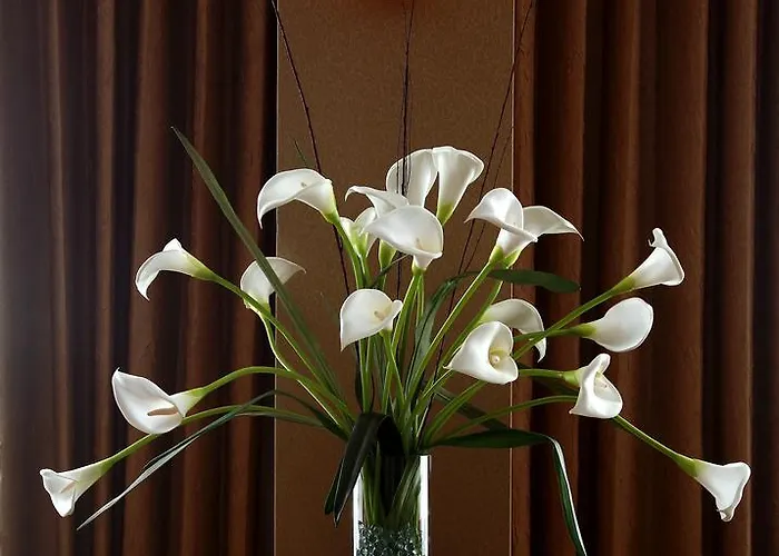 Hotel Grand - Historic Downtown 4*